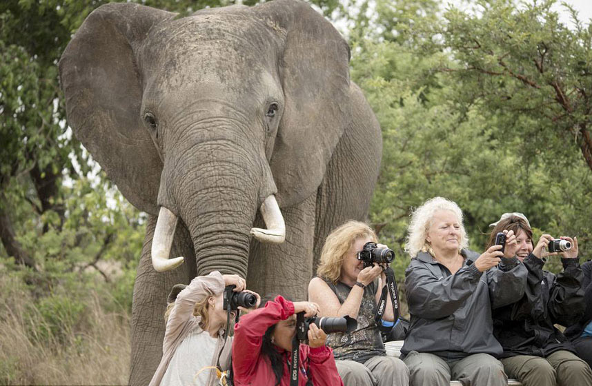 Туристи у Зимбабвеу у природном резервату