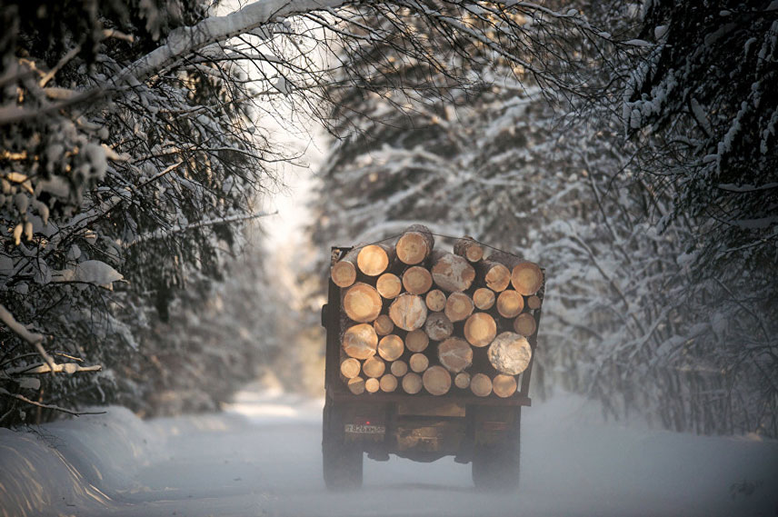 Зима у Сибиру (фото: http://rs.sputniknews.com/)