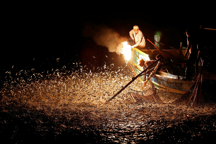 Под велом ноћи мала група тајванских грибара отплови до сјевероисточне обале, запали ватру на крајевима штапова од бамбуса и чека да риба дође...