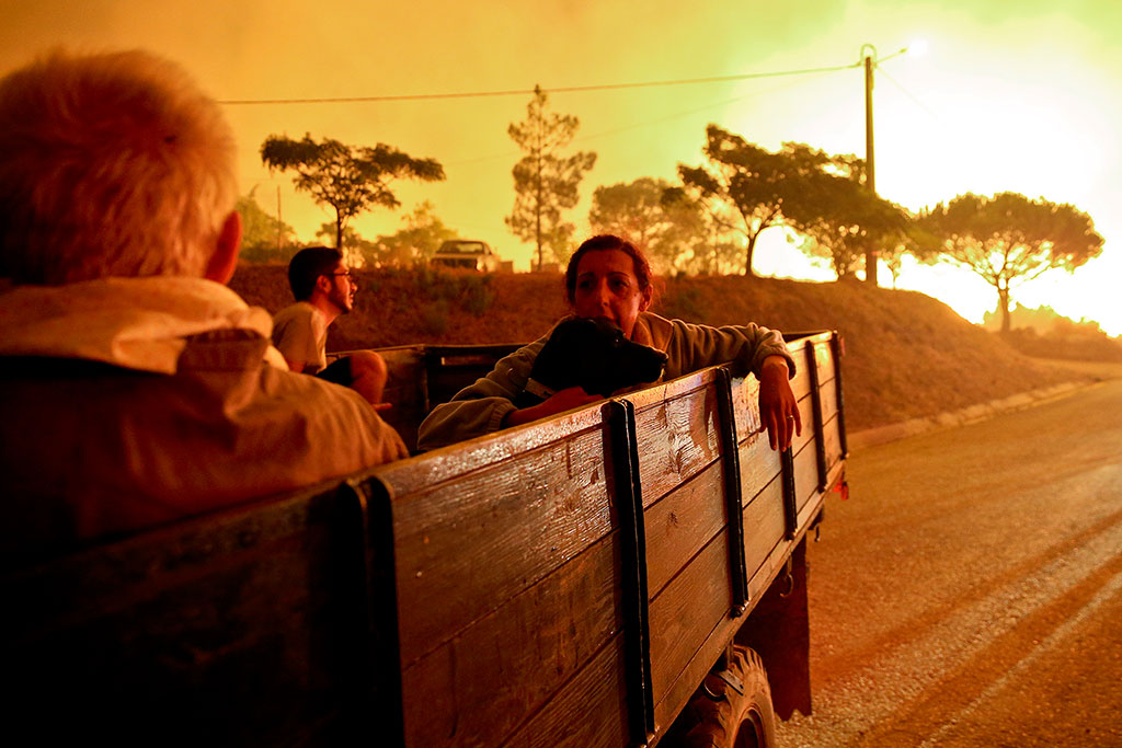 Шумски пожар у Португалу (фото: EPA/JOSE SENA GOULAO)