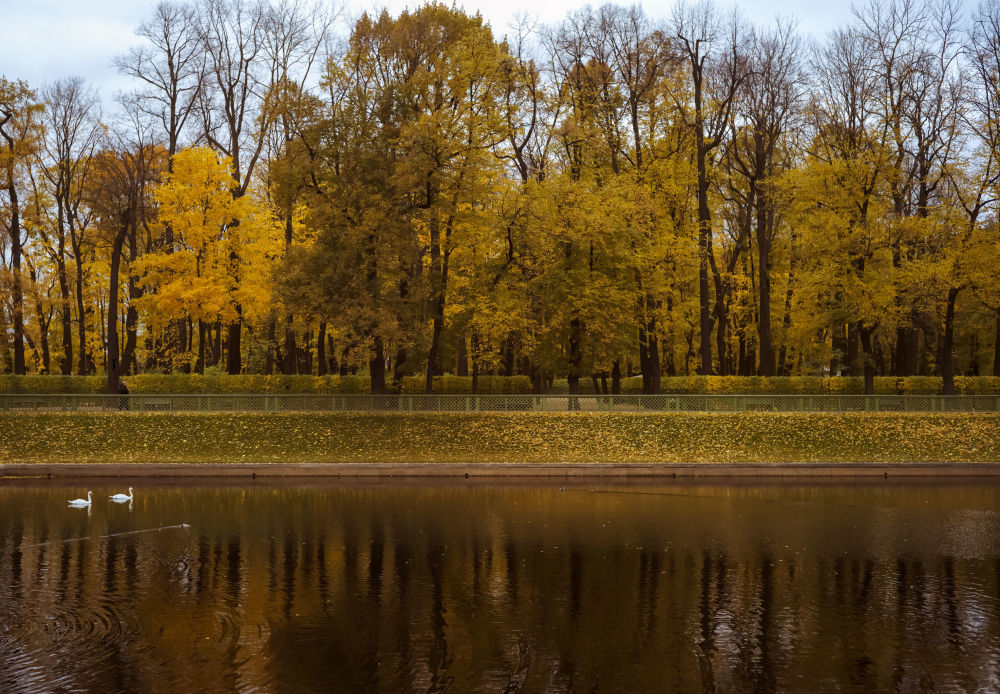 Златна јесен у љетњој башти у Санкт Петербургу... (Фото: Sputnik/Alexei Danichev)