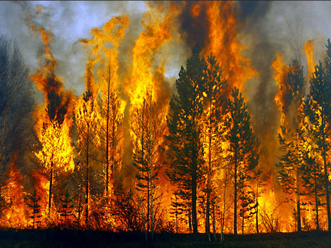 Пожар у Русији (Фото: http://siberiantimes.com) - 