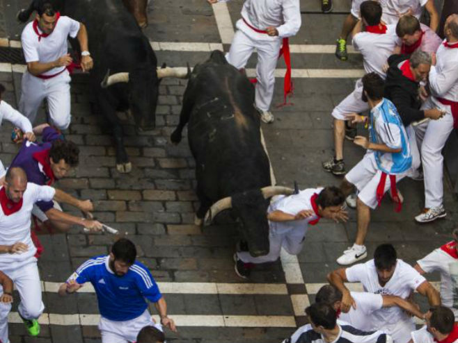 Трка са биковима у Памплони - Фото: AP