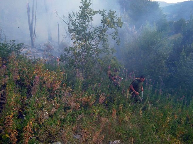 Гашење пожара на подручју општине Б.Грахово(Фото: mod.gov.ba) - 