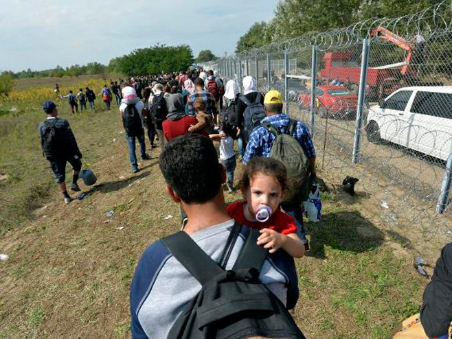 Мигранти на граници са Мађарском - Фото: ТАНЈУГ