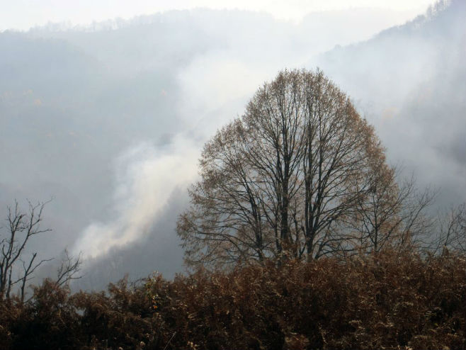 Шумски пожар код Сребренице - Фото: СРНА