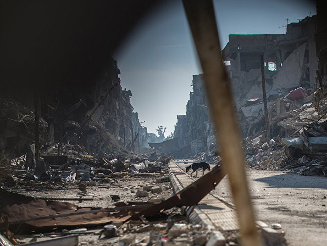 Сирија (фото:© Sputnik/ Валерий Мельников) - 