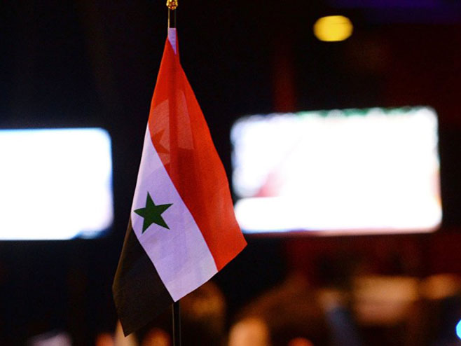 Сирија (Фото: Sputnik/Михаил Воскресенски) - 