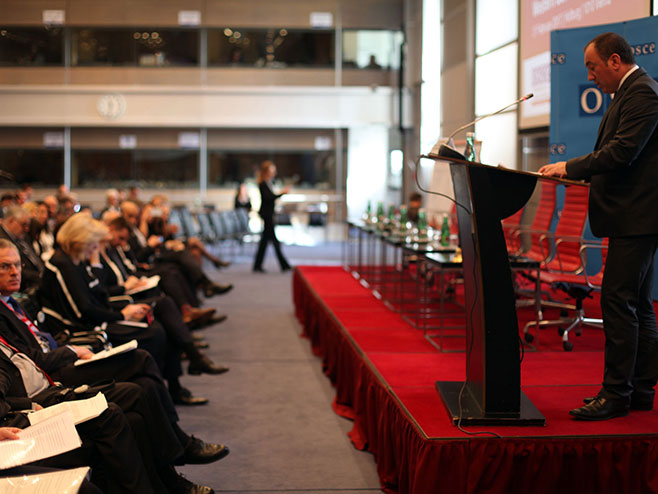 Игор Црнадак на конференцији ОЕБС-а у Бечу - Фото: СРНА