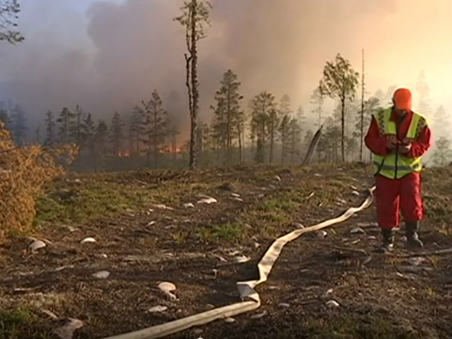 Пожари у Шведској - Фото: Screenshot