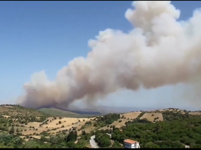 Грчка-пожар - Фото: Screenshot/YouTube