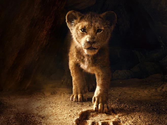 Краљ лавова (фото: disney.co.uk) - 