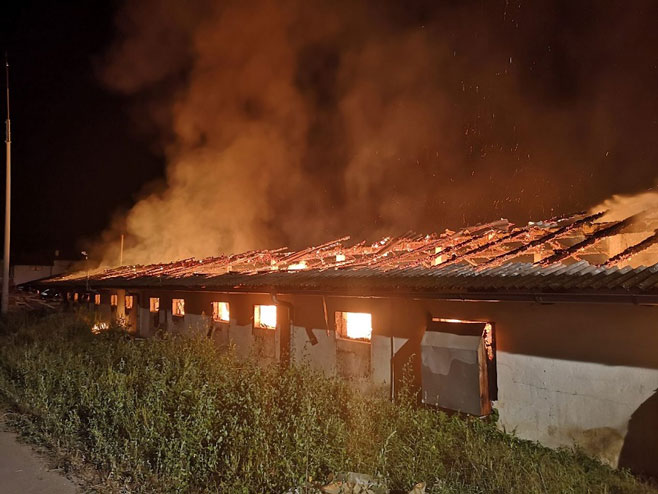 Ужасан пожар у Романовцима (Фото:micromreza.com) - 