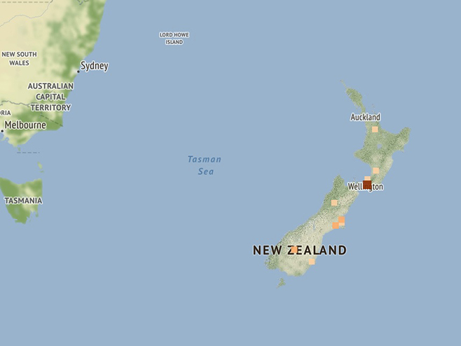 Нови Зеланд - земљотрес (Фото: geonet.org.nz) - 