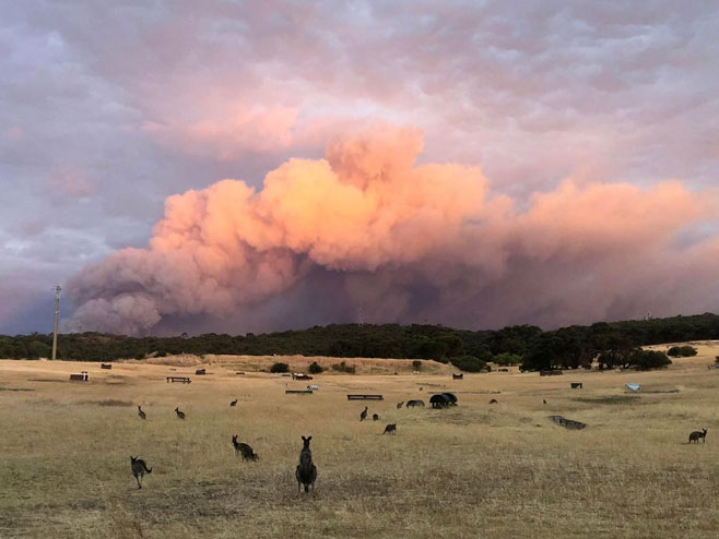 Пожар у Аустралији - Фото: Тwitter