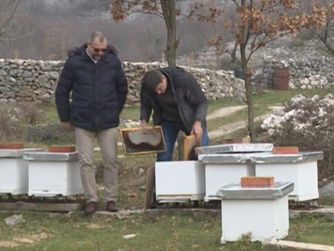 Пчеларство у Херцеговини - Фото: РТРС