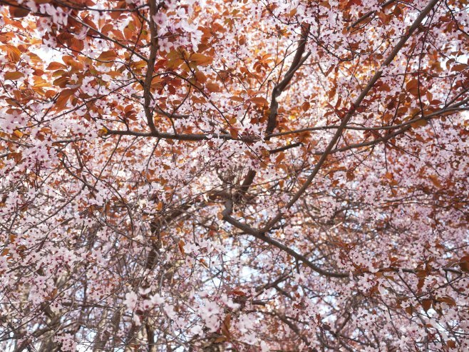 Промјенљиво облачно уз сунчане периоде Промјенљиво облачно уз сунчане периоде