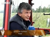 Сноп