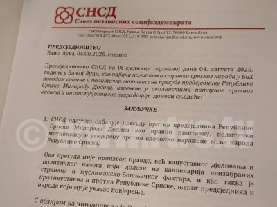 СНСД закључци