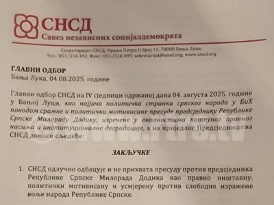 СНСД закључци