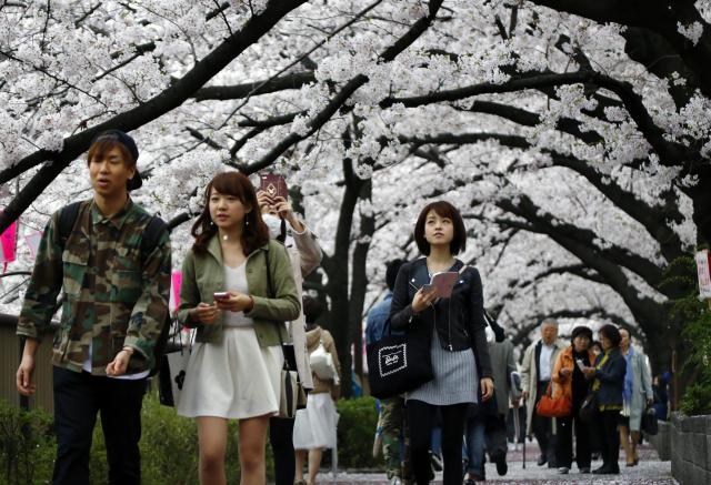Пролазници шетају испод стабала расцвјеталих трешања у Токију.