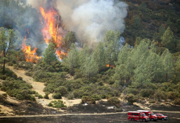 Požar u Kaliforniji (foto: AP)