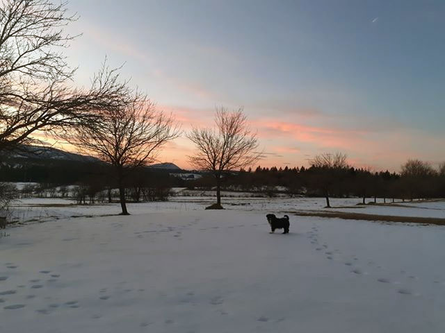 Петак, 21. фебруар 2020. / Борислава Миловановић, Кнежево