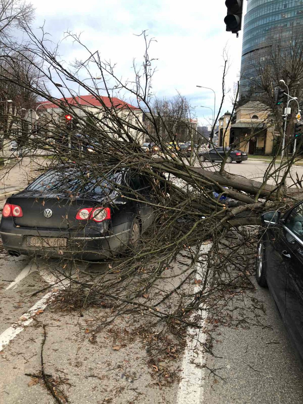 Stablo palo na automobile u blizini zgrade Vlade (Foto: RTRS)