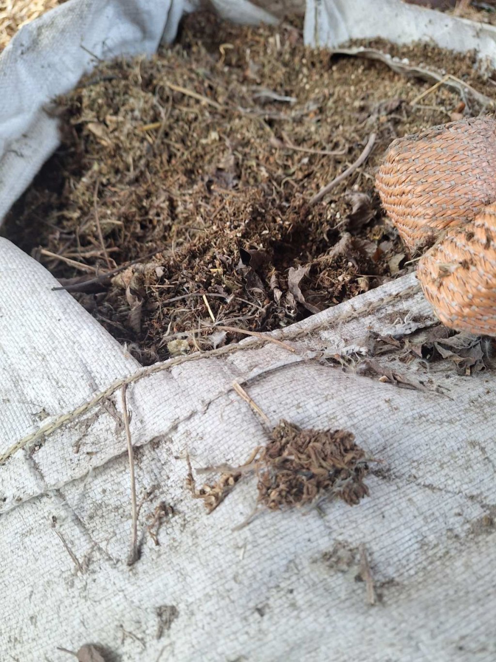 Фото: Уступљена фотографија