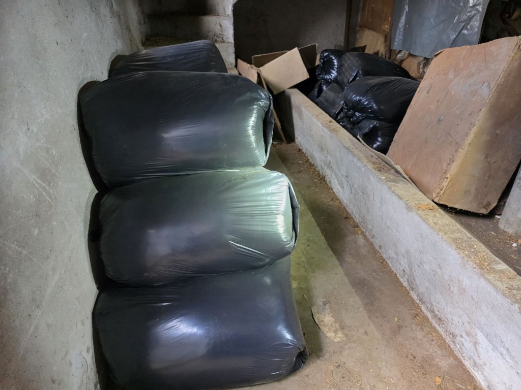 Ustupljena fotografija