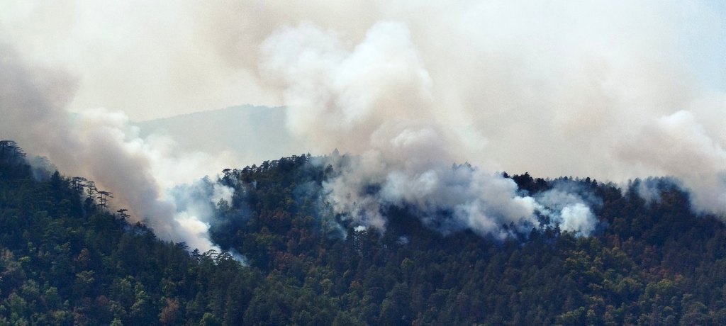 Šumski požar na nepristupačnom terenu u teslićkom naselju Buletić (foto: SRNA)