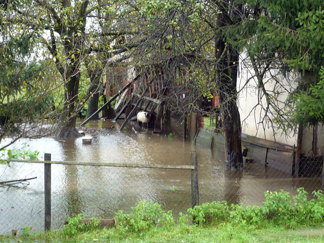 У Градишци поплављено 500 подрума