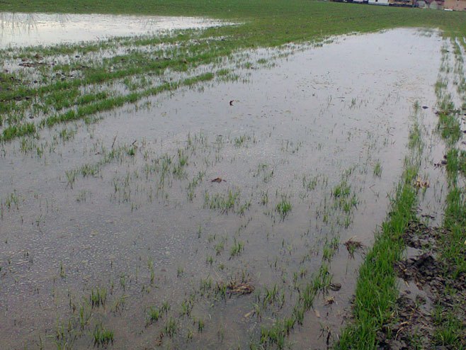 Поплаве у Семберији причиниле велике штете на усјевима (ВИДЕО)