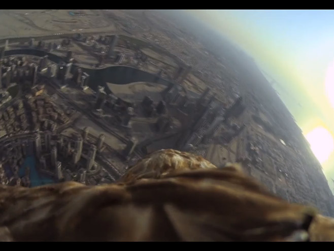 Орао Даршан изнад Дубаија - Фото: Screenshot/YouTube