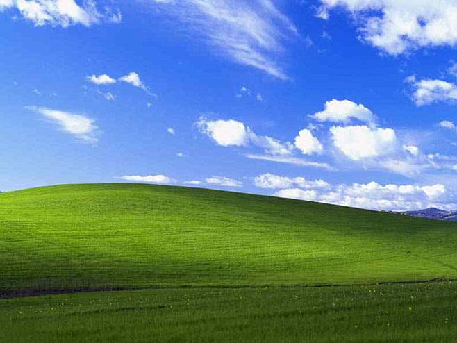 Микрософт подлога (Фото: Microsoft) - 