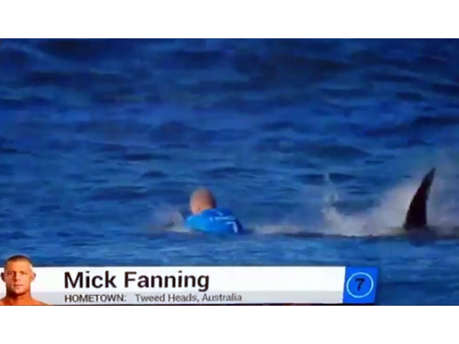 Ајкуле напале аустралијског сурфера (Фото: Fox Sports) - 