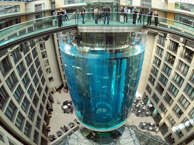 Највећи цилиндрични акваријум на свијету - Фото: Screenshot/YouTube