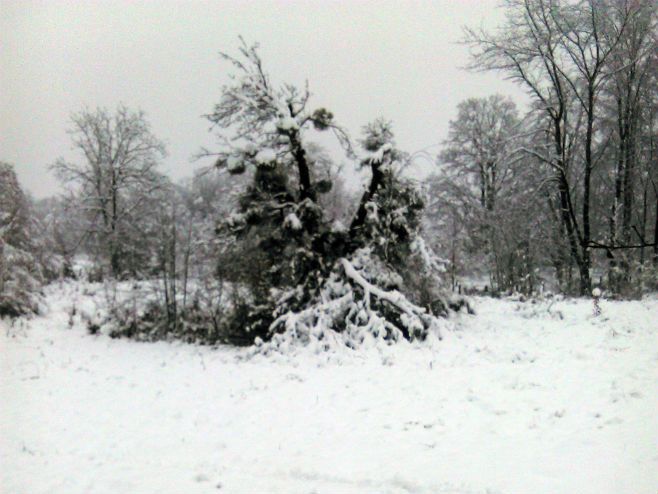 Snijeg na području Novog Grada (foto: Srna)