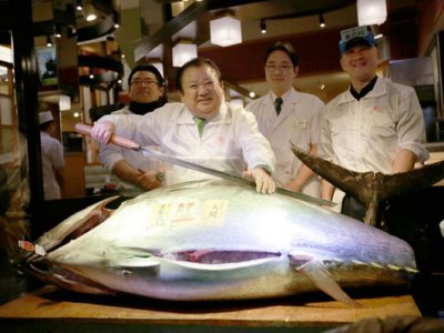 Џиновска атлатска туна (ФОТО:AP/PRESS ASSOTIATION IMAGES) - 