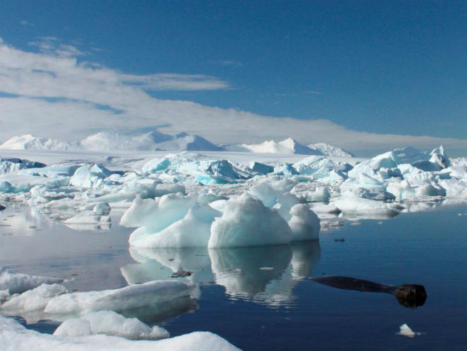 Топљење леда на Антарктику (Фото: newsweek.com) - 