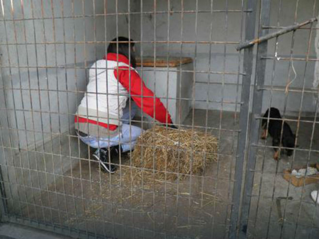 Бијељина-азил за псе - Фото: СРНА