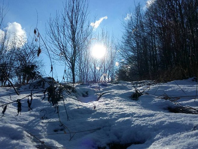 Сунчан зимски дан - Фото: РТРС