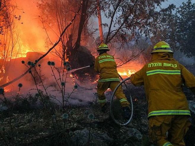 Шумски пожар у Израелу (Фото: Yonatan Sindel/Flash90) - 