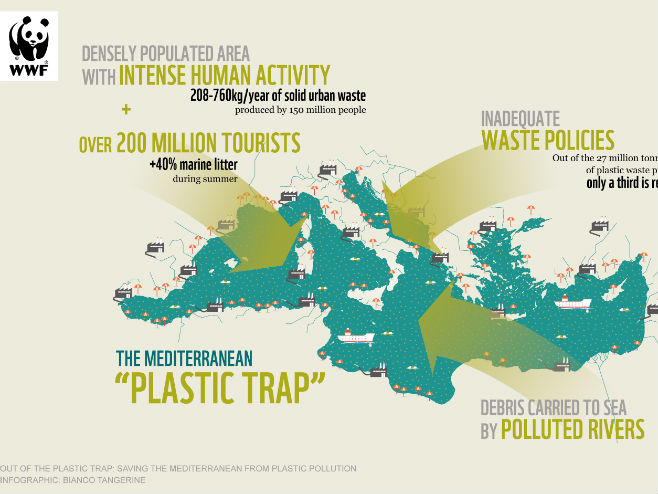 Плава Панда: Пластични отпад загадио Медитеран (Фото: WWF) - 
