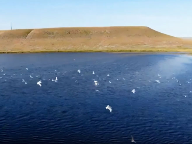 У Америци 11.000 птица пало мртво са неба (Фото:Јутјуб/ KTVH Helen) - 