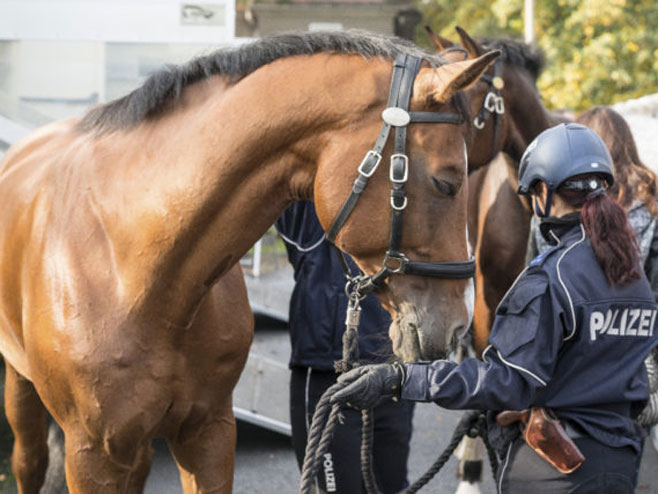 Коњичка полиција у Аустрији (фото:Adobe Stock/Andreas Gruhl) - 