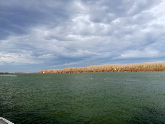 Дунав код Каравукова (фото: Радио-телевизија Војводине) 