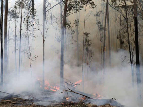 Аустралија - пожар (Фото:apnews.com) 
