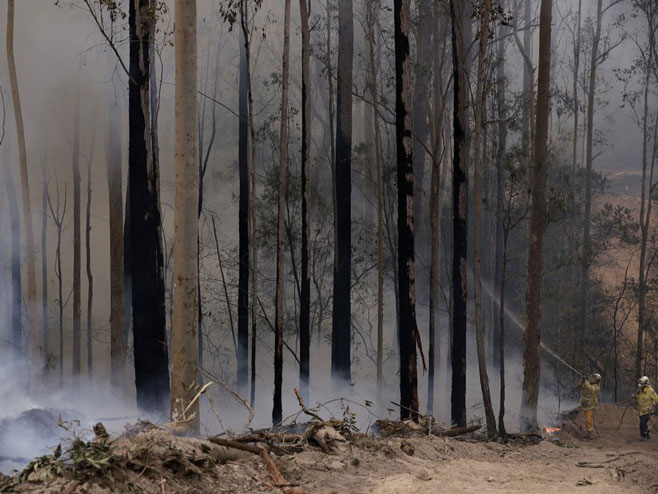 Australija - požar (Foto:apnews.com) 