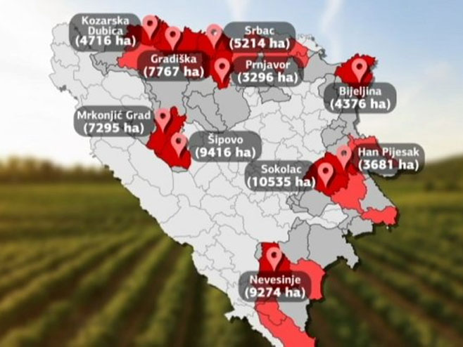 Пољопривредно земљиште Републике Српске (фото: АТВ БЛ) - 